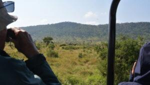 Guests on a game drive through the Kruger Park stop to observe a herd of elephants in teh distance.