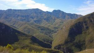 Garden Route mountain range with forested valleys and rolling green peaks in South Africa.