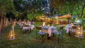 The dining set up in the garden at Gecko Lodge.