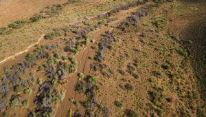 Aerial view of a safari vehicle driving through scrubland at Sanbona Wildlife Reserve on Route 62 in South Africa.