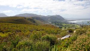 Scenic landscape of the surroundings of Hermanus.