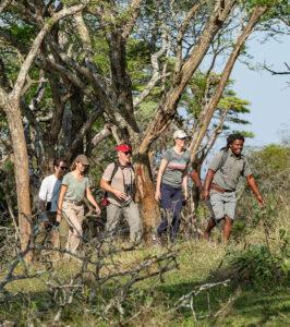 A group of people and a guide doing a guided Bush walk in the Hluhluwe Game Reserve.