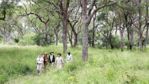 Guided walking safari through the bush at Londolozi, Sabi Sand Game Reserve.