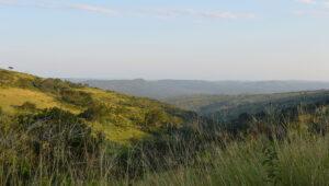 Landscape of the Hluhluwe Game Reserve.