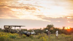 Sundowner on Safari n the Madikwe Game Reserve.