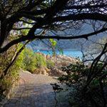 A hidden path leading to the ocean.