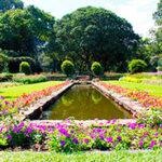 Fountain and flowers in Durban's botanical garden.