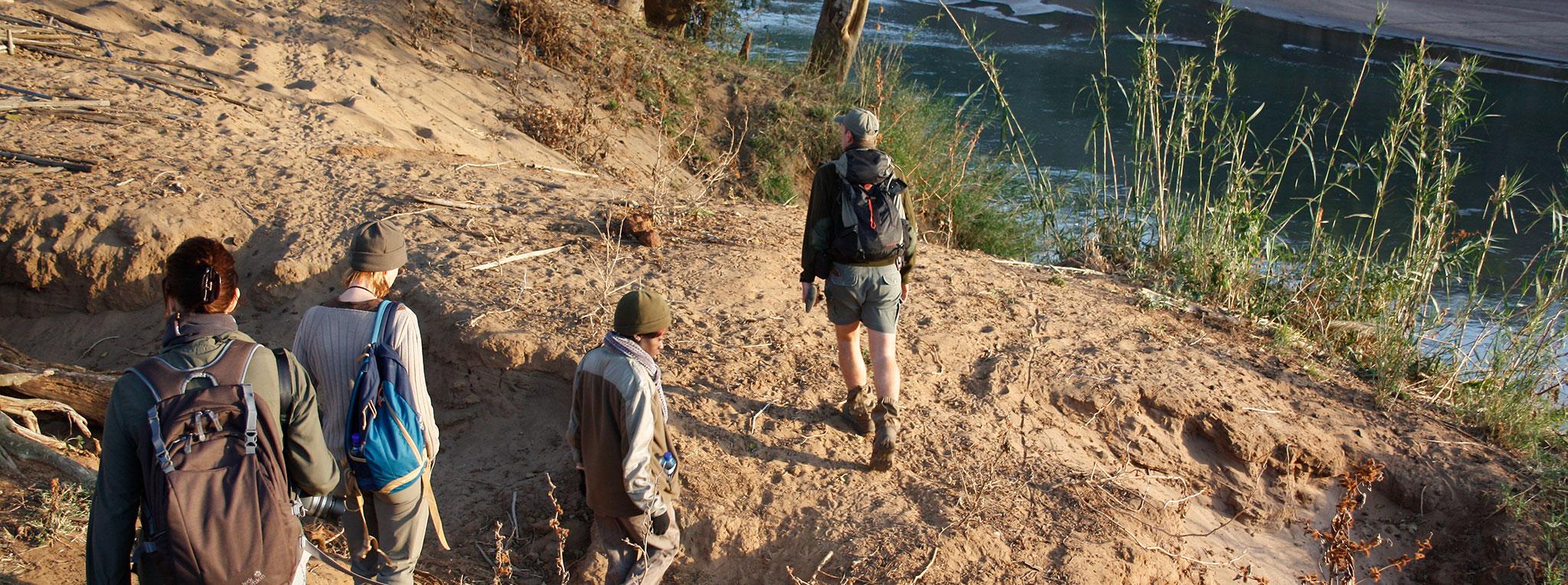 Small group bush walk with guide at Balule Nature Reserve.