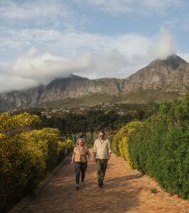 A couple holding hands on a romantic walk through the winelands.