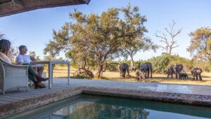 A couple sitting on the veranda at Leopard Hills Lodge watching elephants on their South Africa honeymoon trip.