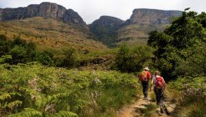 Father and daughter hiking a trail through lush vegetation towards dramatic rock faces in the Drakensberg mountains.