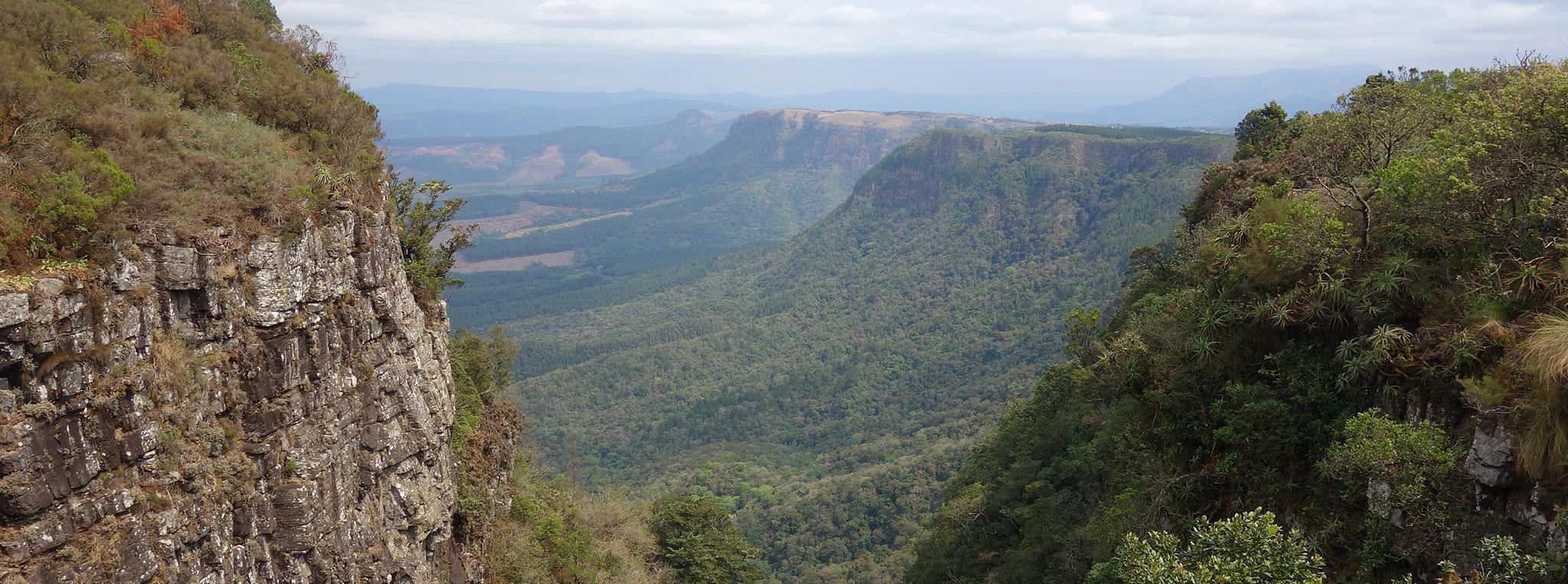 Sweeping escarpment view over forested valleys at God's Window on the Panorama Route, South Africa.