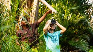 A guide points out something in the canopy as a guest looks up through binoculars during a Kosi Forest walking tour.