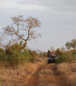 Safari vehicle on a game drive through the Kruger National Park.