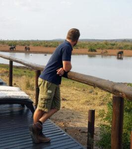 Guest observing elephants drinking at the waterhole from the camp's wooden deck.