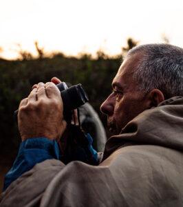 Guest on a guided game drive scanning the bush with binoculars at sunset.