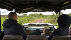 Every game drive is different — and that's exactly the point. With a knowledgeable guide at the wheel, expect the unexpected and let South Africa's wildlife do the rest.