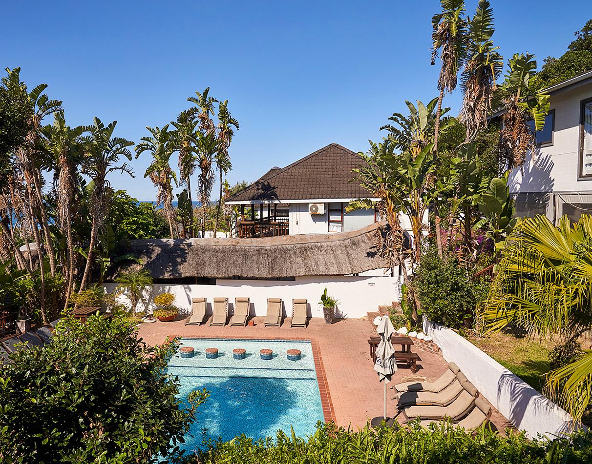Exterior pool area with sun lounging chairs surrounded by palm trees at Crawfords Beach Lodge.