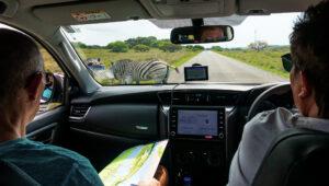 Two guests on a self-drive safari encountering a zebra on the road in iSimangaliso Wetland Park