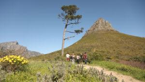 A small group and their guide stopped on the trail towards Lions Head summit in the background.