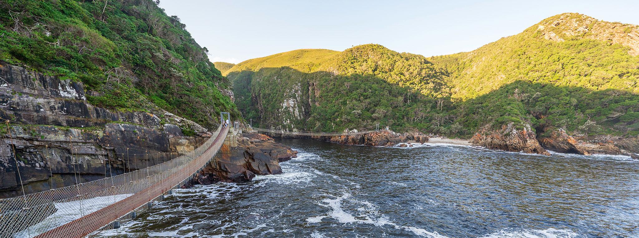 Suspension Bridge above the river in Tsitsikamma National Park.