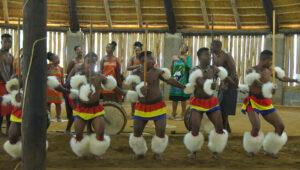 Traditional Swazi dancers performing in colourful ceremonial dress inside a thatched Swazi cultural village.