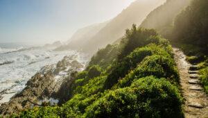 Hiking trail along the rugged coastline of Tsitsikamma