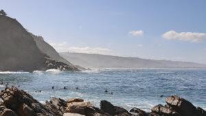 Surfers paddling out in the ocean at Wilderness, with waves rolling toward the shore.