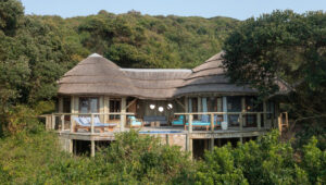 Thonga Beach Lodge, wooden suite tree house with private pool.