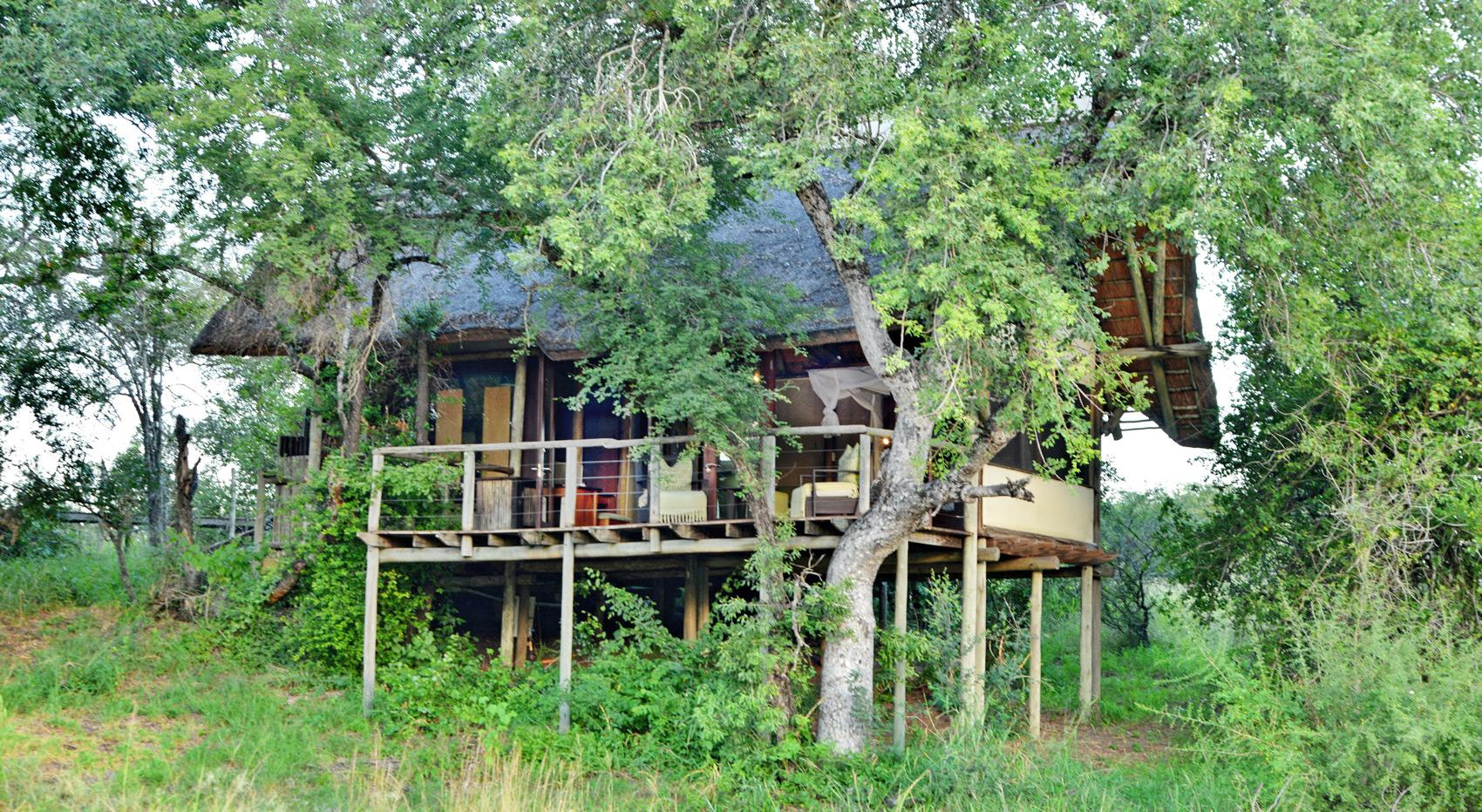 Thatched-roof safari lodge on stilts in lush South African bush Thatched-roof safari lodge on stilts in lush South African bush
