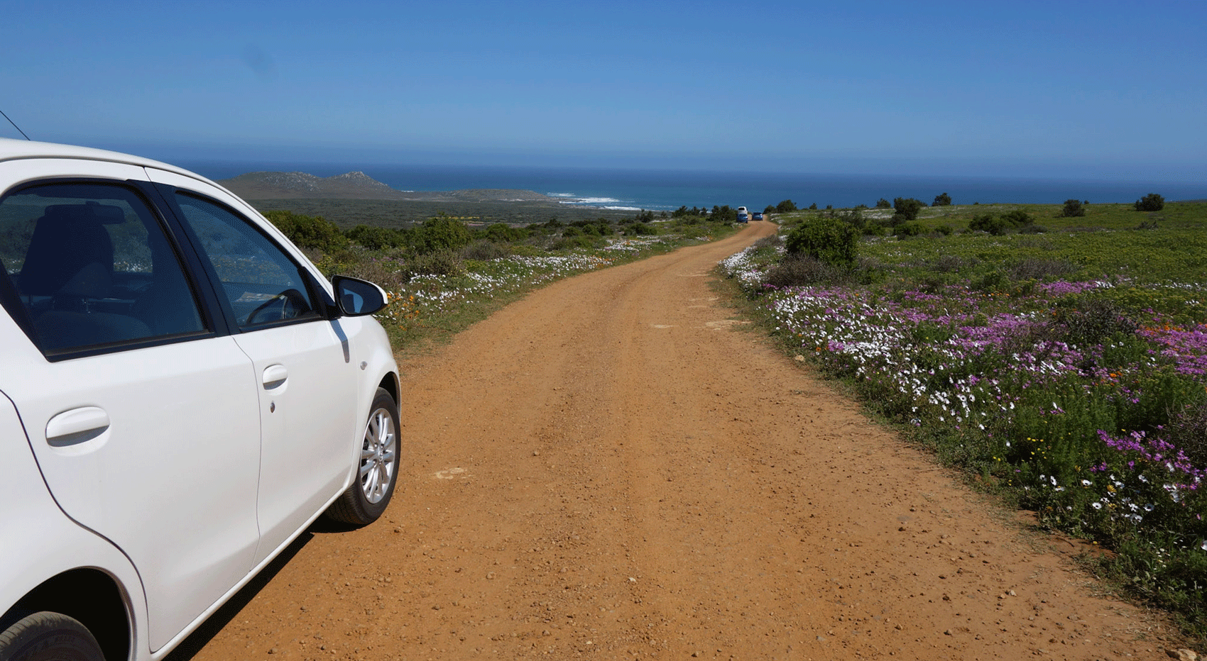White car on a dirt road with wildflowers, scenic South Africa self-drive view White car on a dirt road with wildflowers, scenic South Africa self-drive view