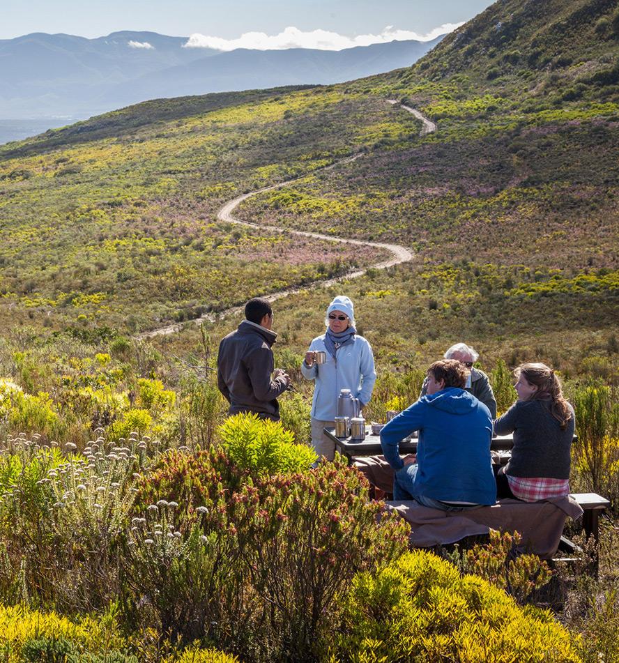 Grootbos Private Nature Reserve