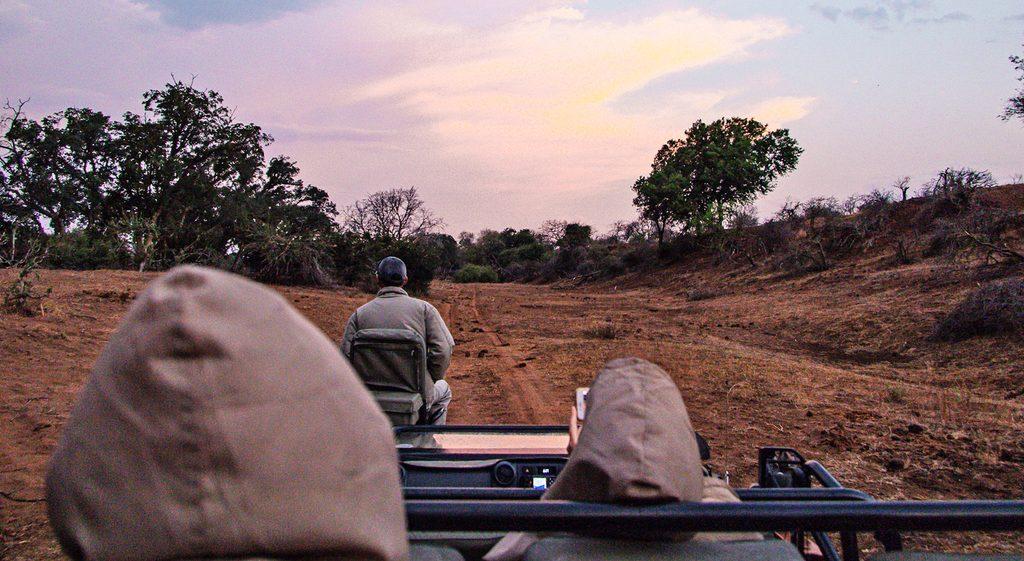 Two people in a safari vehicle observe a ranger on a South African safari at dusk