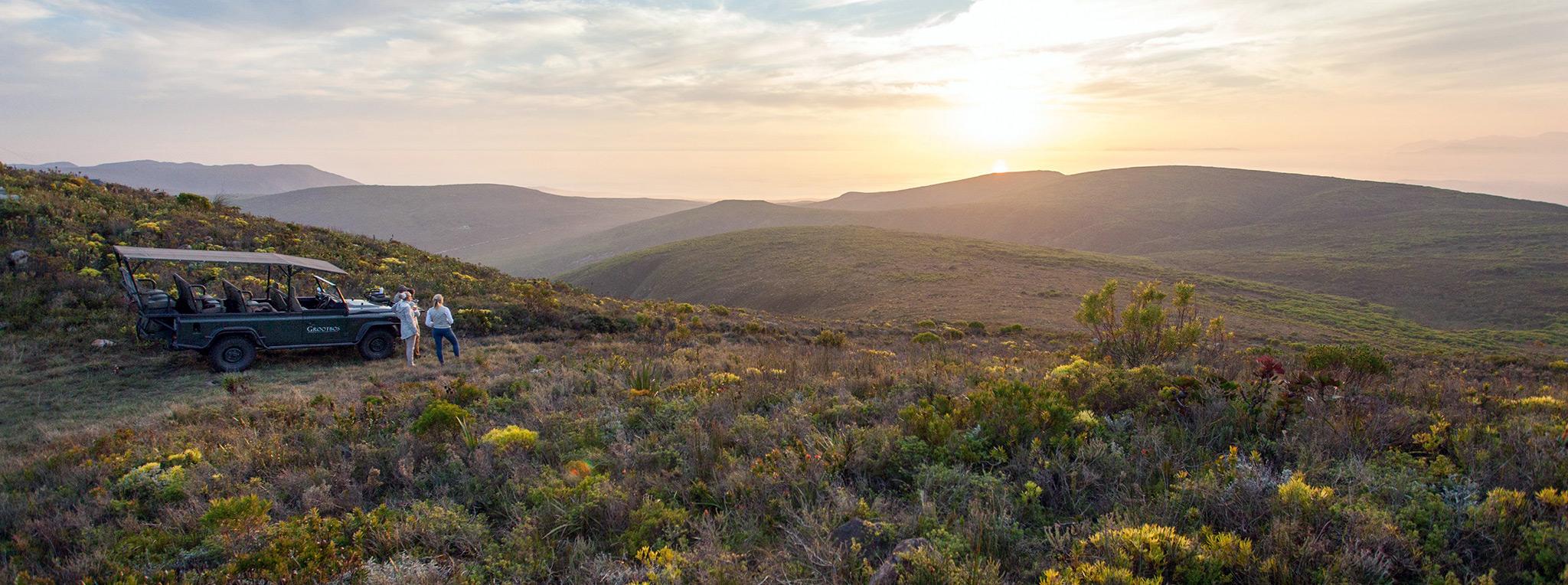 Wilderness Safari - Grootbos Forest Lodge