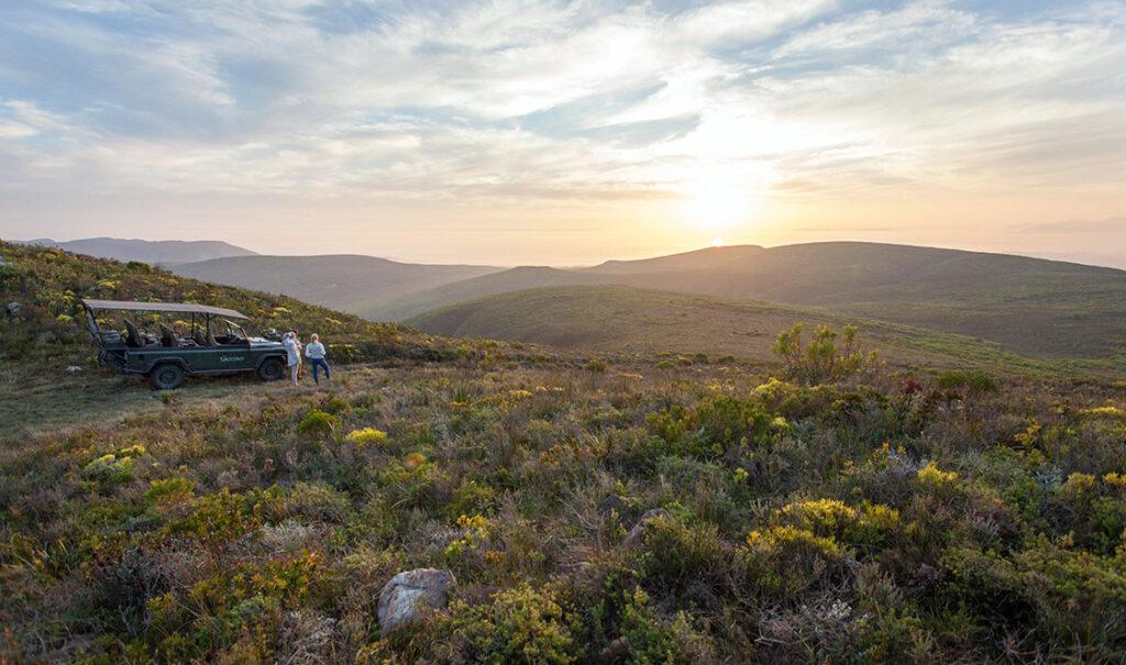 Wilderness Safari - Grootbos Forest Lodge
